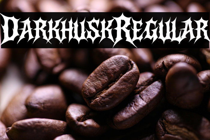 Darkhusk Regular Example 1