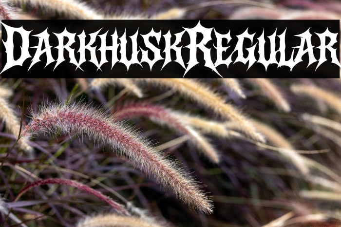 Darkhusk Regular Example 3