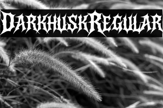 Darkhusk Regular Example 3