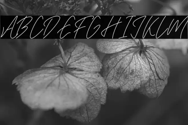 Darklight Font examples