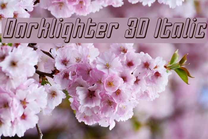 Darklighter 3D Italic Font examples
