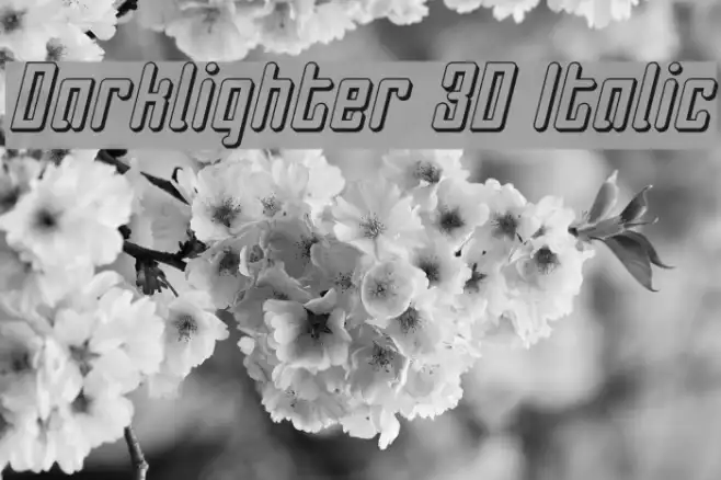 Darklighter 3D Italic Example 1