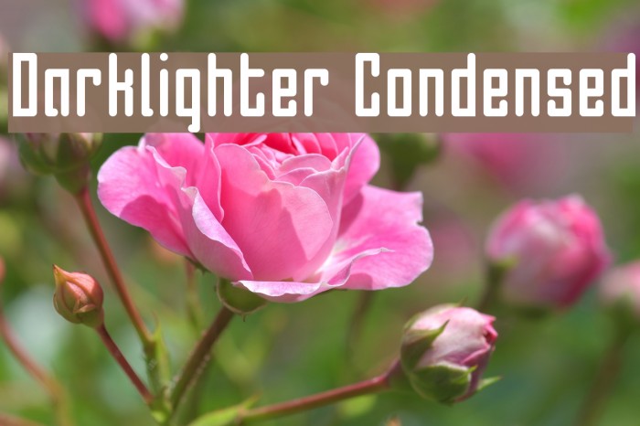 Darklighter Condensed Example 1