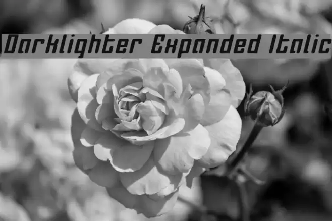 Darklighter Expanded Italic Font examples