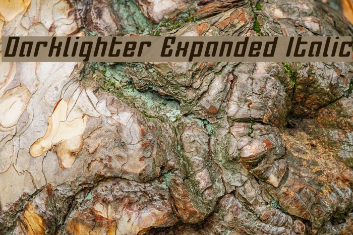 Darklighter Expanded Italic Example 2