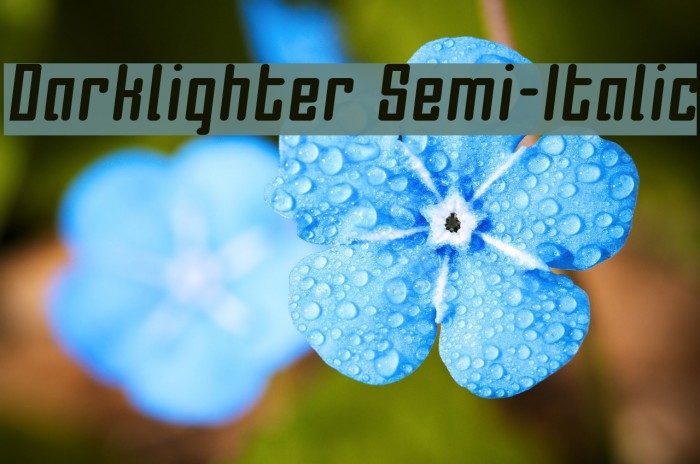 Darklighter Semi-Italic Example 2