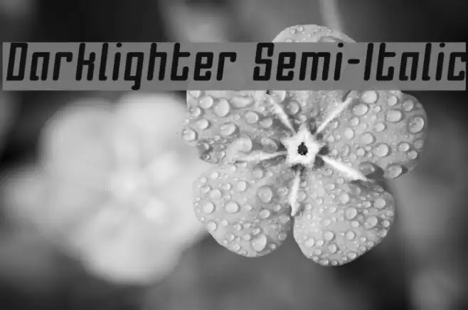 Darklighter Semi-Italic Font examples