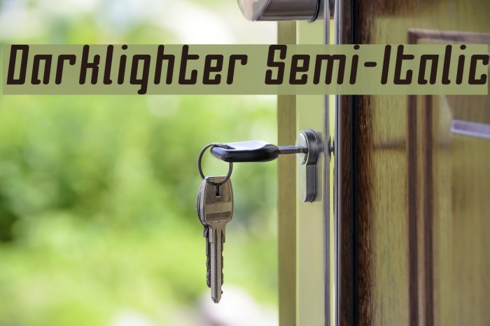 Darklighter Semi-Italic Example 3