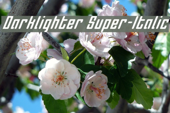 Darklighter Super-Italic Font examples