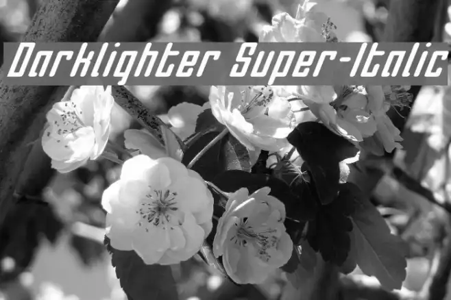 Darklighter Super-Italic Example 3