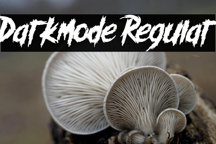 Darkmode Regular Example 1