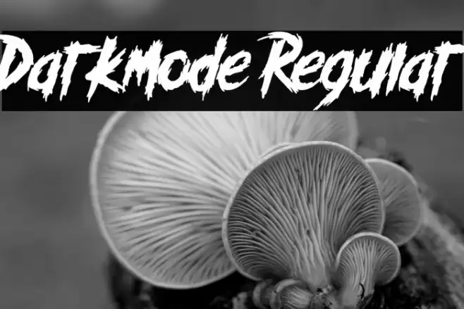 Darkmode Regular Font examples