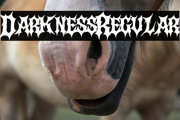 Darkness Regular Example 2
