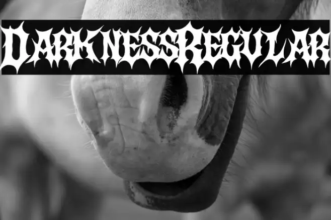 Darkness Regular Example 2