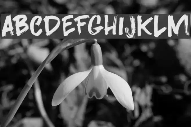 Darkness Rising DEMO Regular Font examples