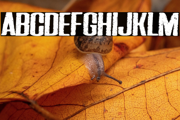 Darkness of the night Example 3