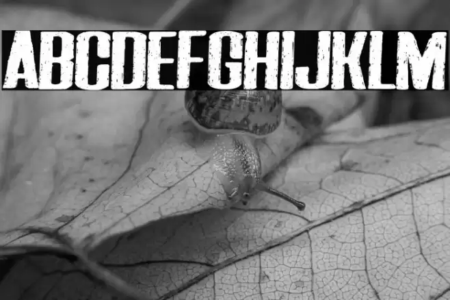 Darkness of the night Font examples