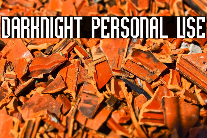Darknight Personal Use Example 1