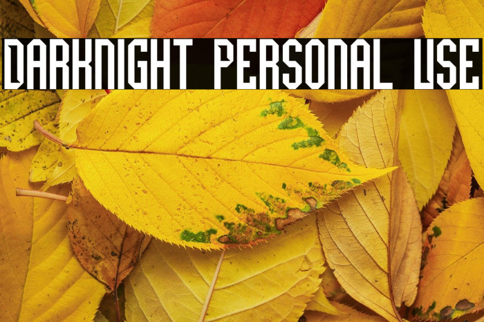 Darknight Personal Use Example 2