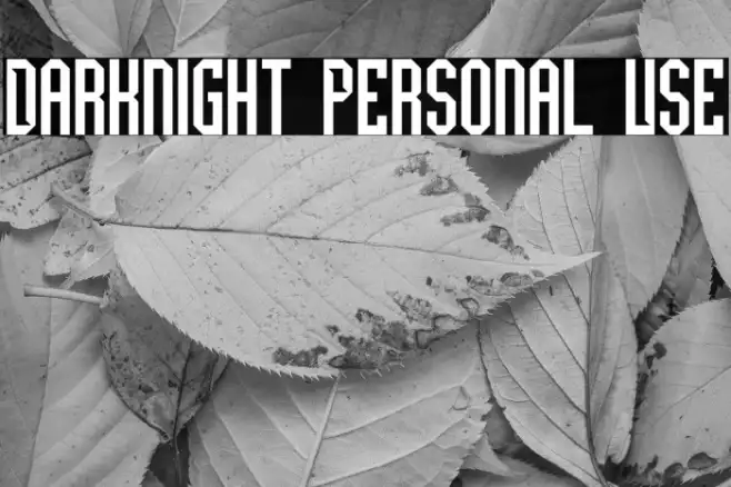 Darknight Personal Use Example 2