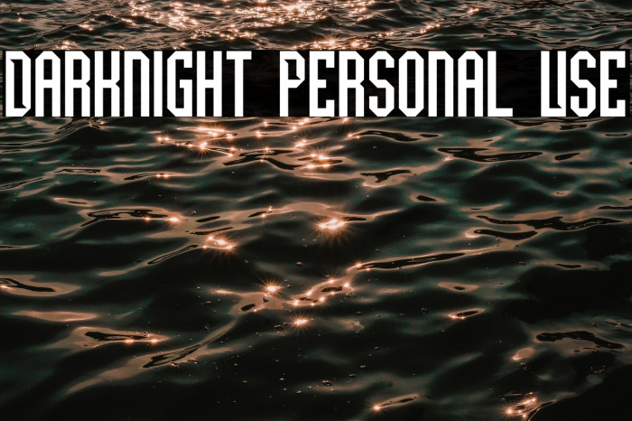 Darknight Personal Use Example 3