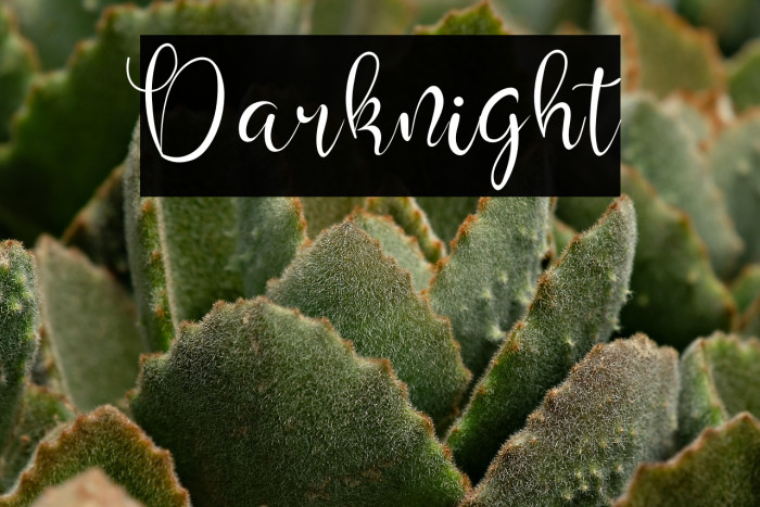 Darknight Example 3