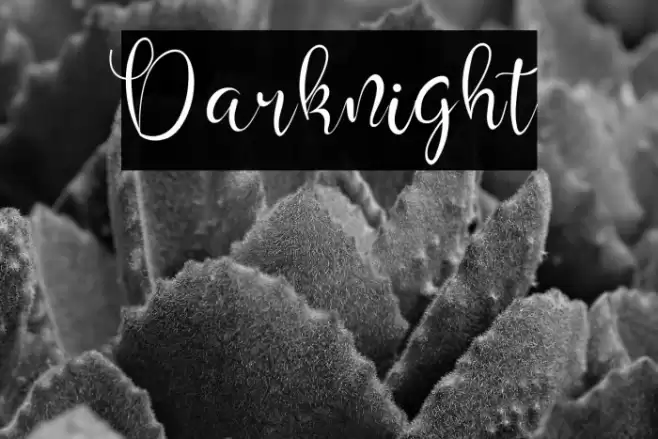 Darknight Font examples