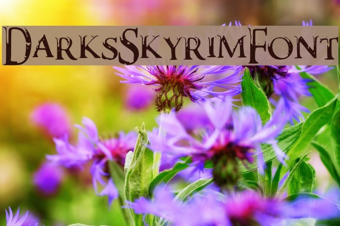 DarksSkyrimFont Example 1