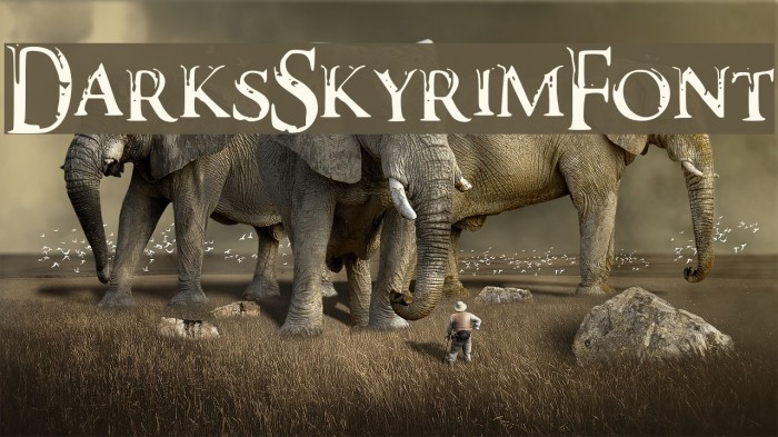 DarksSkyrimFont Example 2