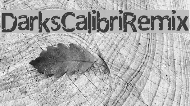 Darks_Calibri_Remix Font examples