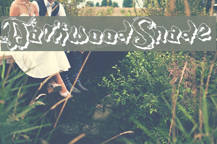 DarkwoodShad2 Font examples
