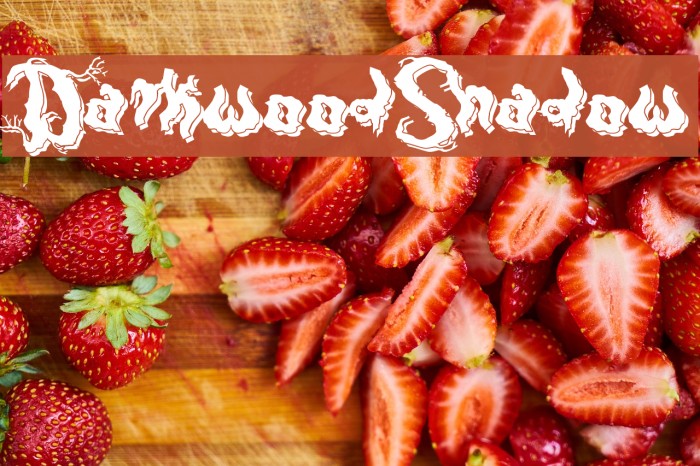 DarkwoodShadow Font examples