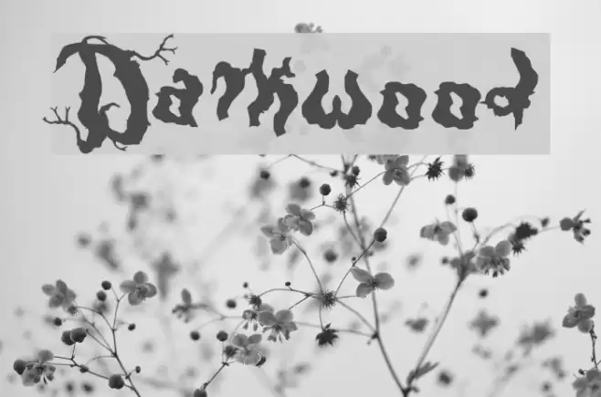 Darkwood Font examples