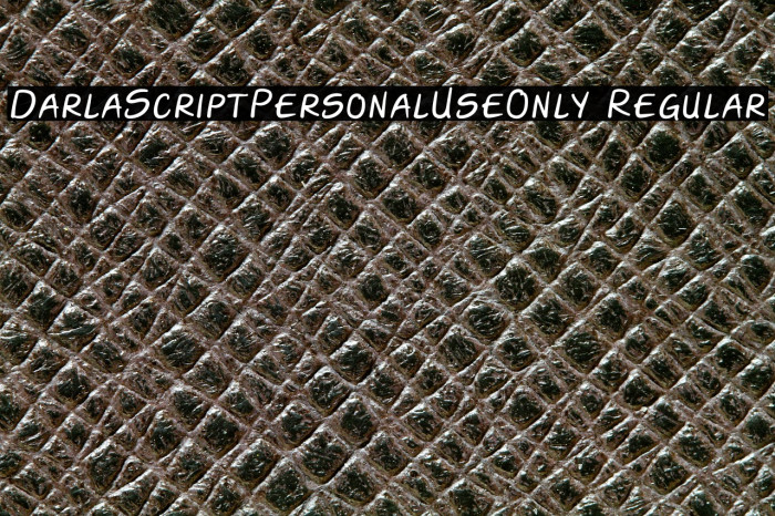 Darla-Script-Personal-Use-Only Regular Example 2