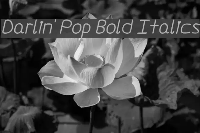 Darlin' Pop Bold Italics Font examples
