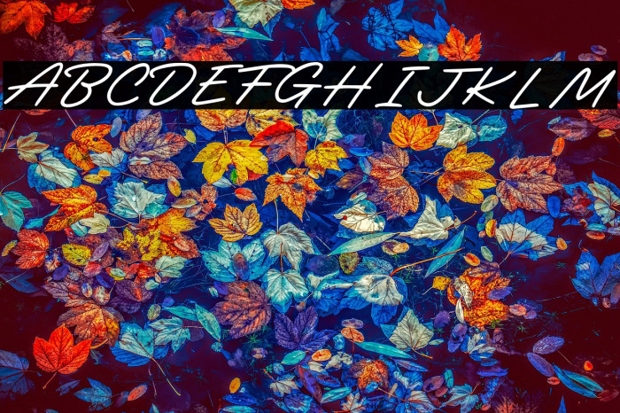 Darline - Personal Use Example 1