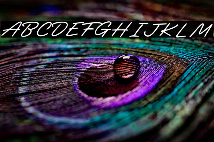 Darline - Personal Use Example 3