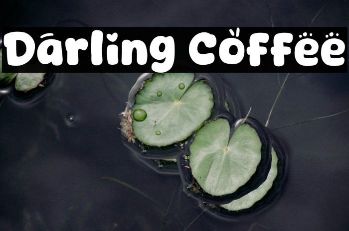 Darling Coffee Example 3