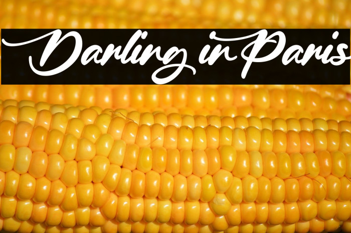 Darling in Paris Example 1