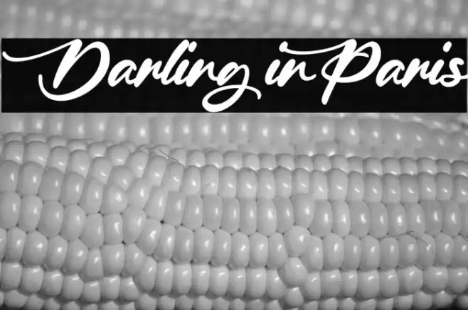 Darling in Paris Font examples