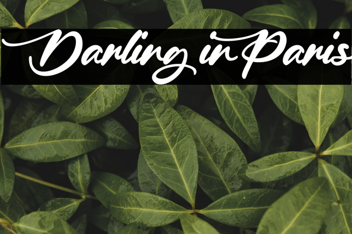 Darling in Paris Example 2