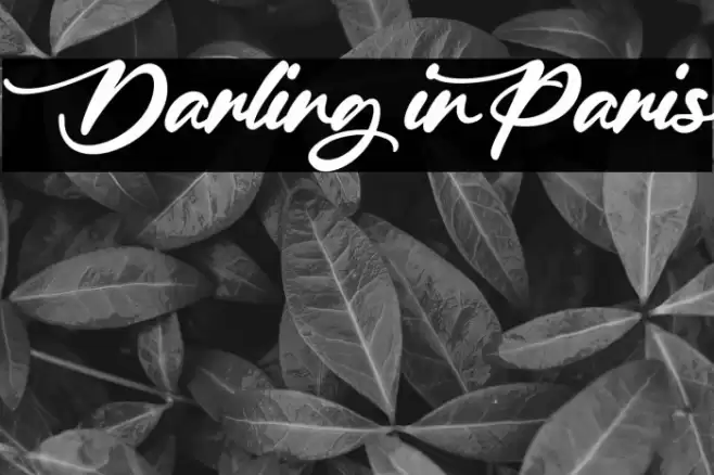 Darling in Paris Font examples