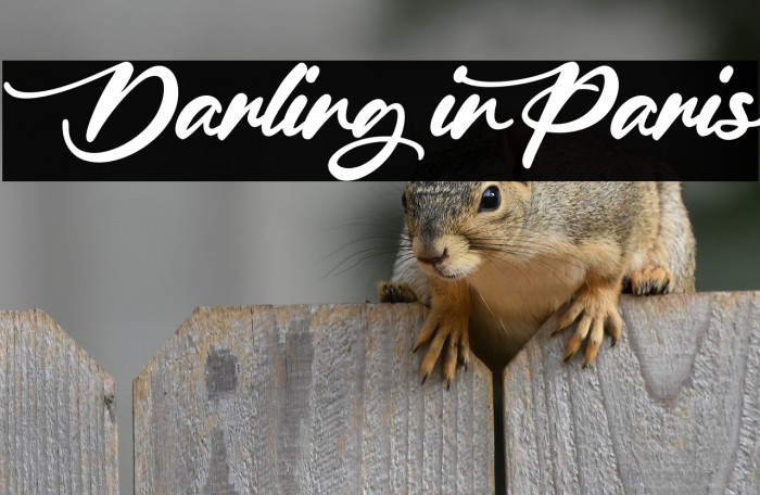 Darling in Paris Example 3