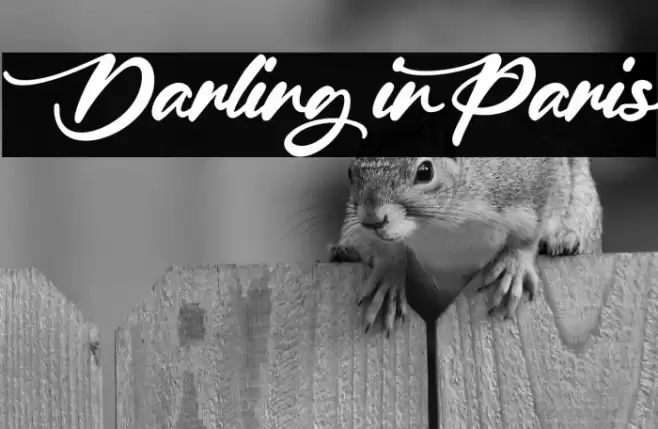 Darling in Paris Font examples