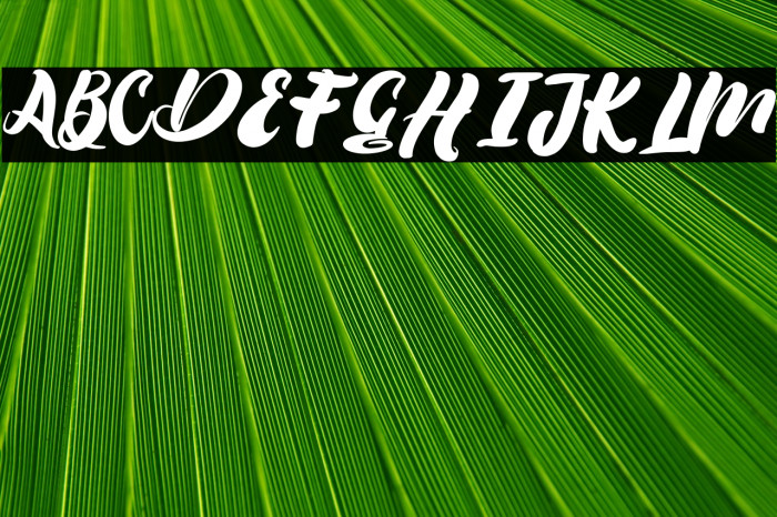 Darlington Example 3