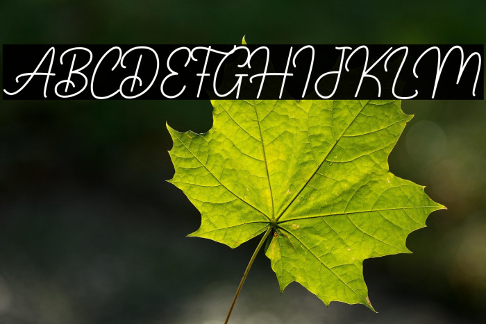 Darlington Example 2