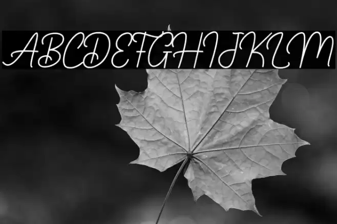 Darlington Font examples