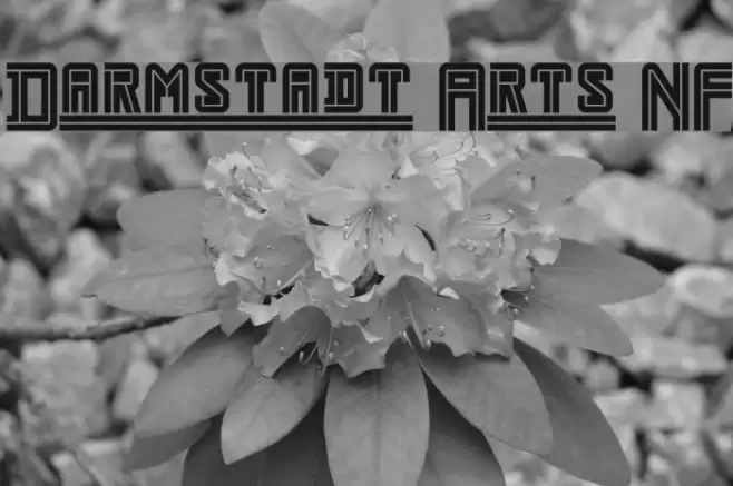 Darmstadt Arts NF Font examples