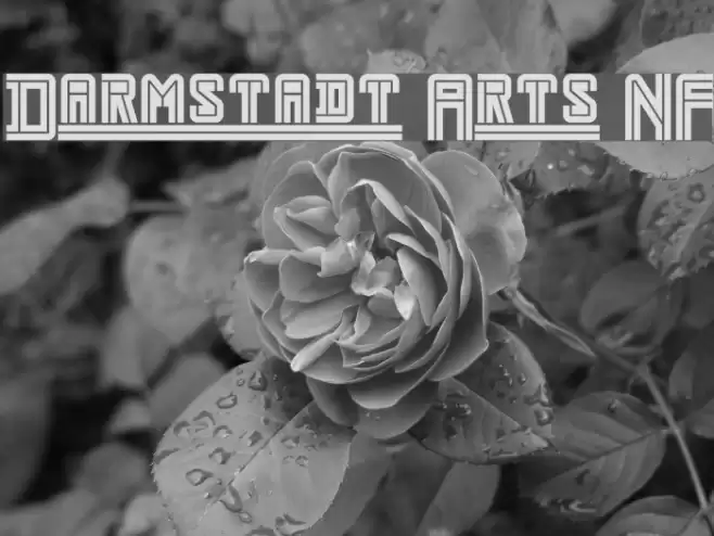 Darmstadt Arts NF Font examples