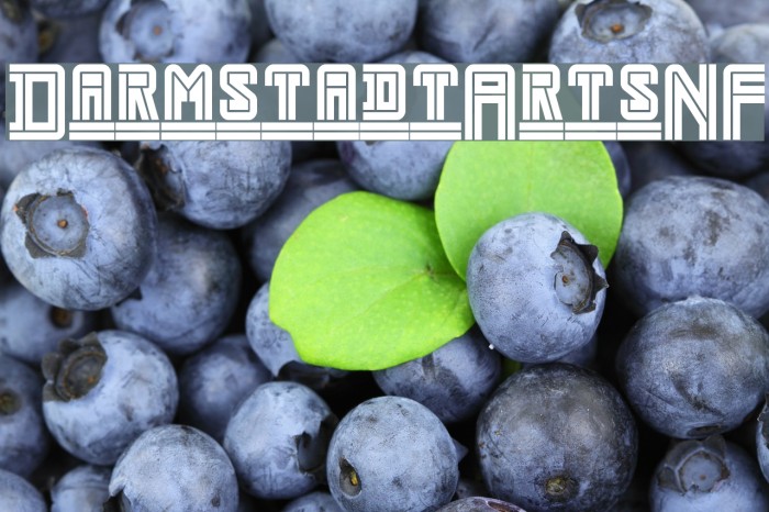DarmstadtArtsNF Font examples